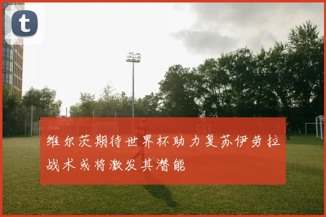 维尔茨期待世界杯助力复苏伊劳拉战术或将激发其潜能